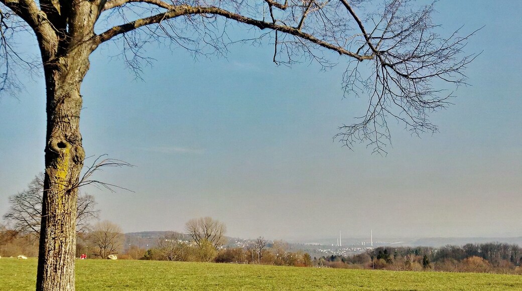 Ausblick von der Katharinenlinde u. a. auf die Schornsteine der EnBW Kraftwerke in Altbach/Deizisau