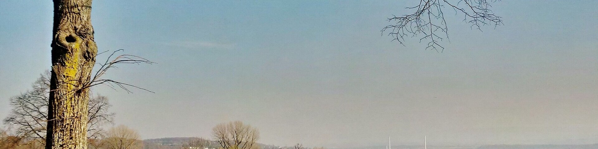 Ausblick von der Katharinenlinde u. a. auf die Schornsteine der EnBW Kraftwerke in Altbach/Deizisau