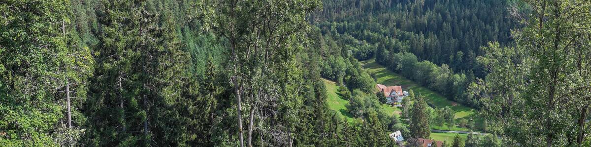 Blick vom Bergfried der Fautsburg nach Osten ins Kleinenztal Richtung Rehmühle
