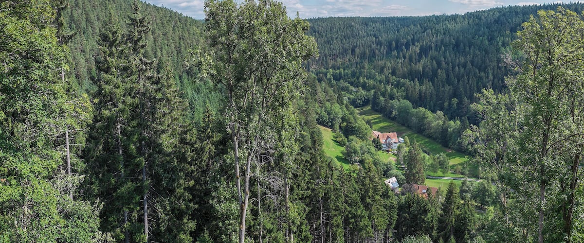 Blick vom Bergfried der Fautsburg nach Osten ins Kleinenztal Richtung Rehmühle