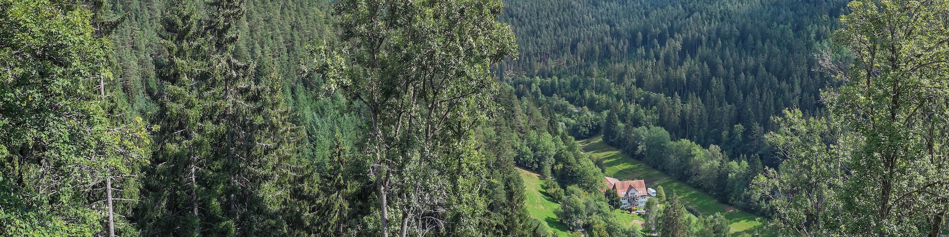 Blick vom Bergfried der Fautsburg nach Osten ins Kleinenztal Richtung Rehmühle