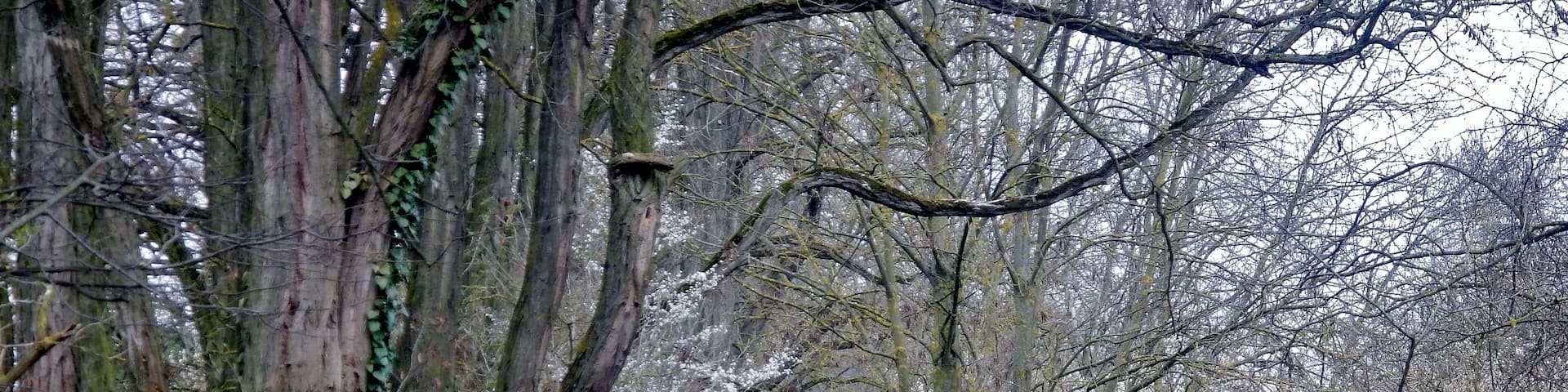 Beim 366 km langen Neckartalradweg: Wanderweg am Salinenkanal