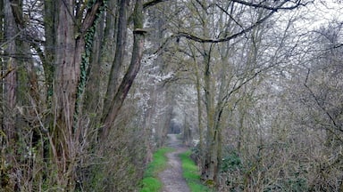 Beim 366 km langen Neckartalradweg: Wanderweg am Salinenkanal