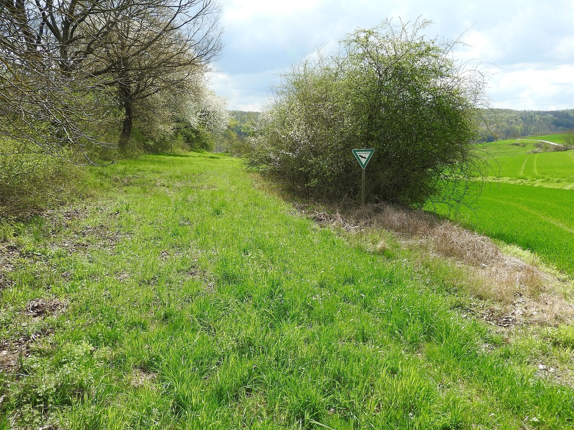 A rural landscape with a winding road, green fields, and a triangular warning sign.