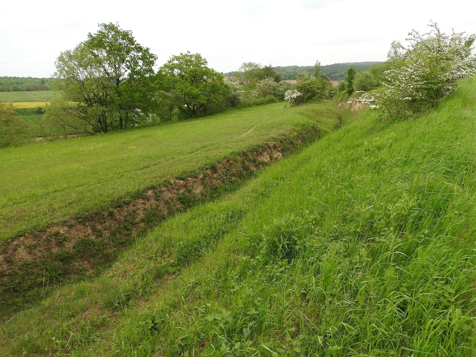 Naturschutzgebiet Beim Roten Kreuz, 14.05.2016