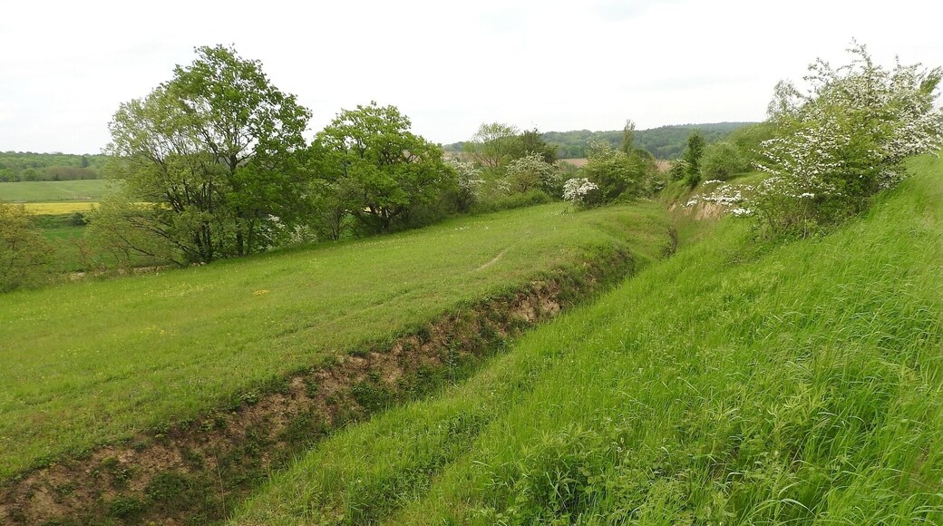 Naturschutzgebiet Beim Roten Kreuz, 14.05.2016