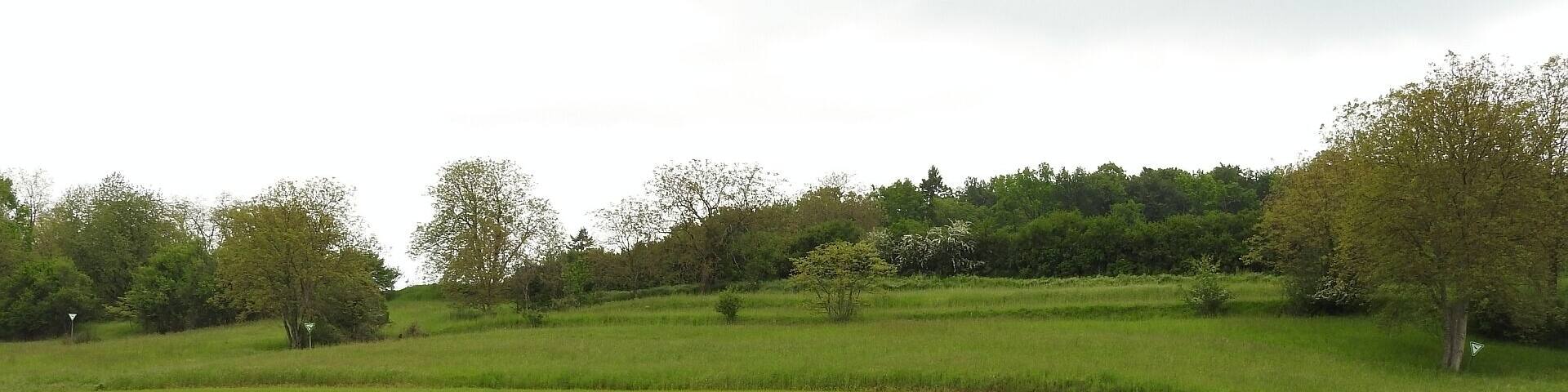 Naturschutzgebiet Beim Roten Kreuz, 14.05.2016
