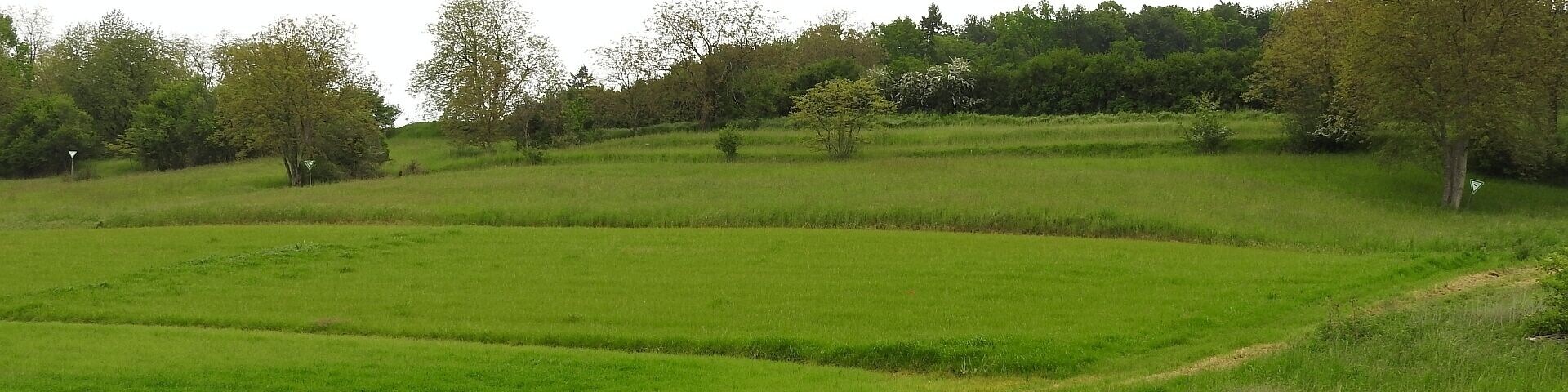 Naturschutzgebiet Beim Roten Kreuz, 14.05.2016