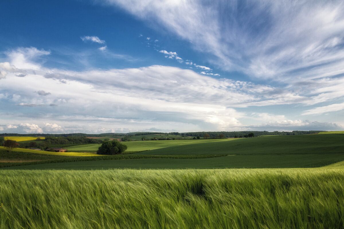 The Kraichgau, located in the south of Germany is a beautiful area with small hills and lots of fields. Especially in spring it's wonderful to walk through those fields and feel nature's beauty.

#SpringFun