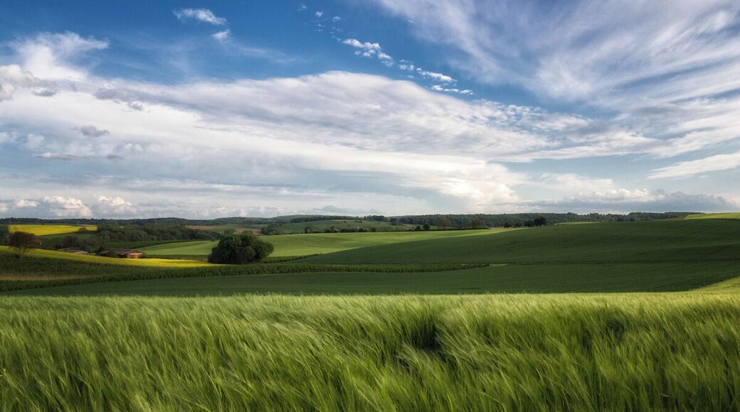 The Kraichgau, located in the south of Germany is a beautiful area with small hills and lots of fields. Especially in spring it's wonderful to walk through those fields and feel nature's beauty.
#SpringFun