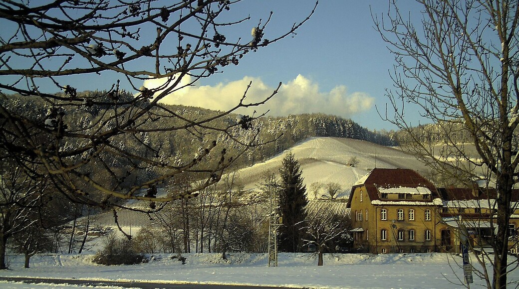 Glottertal: Dufner Textil (Mattenmühle, ehemals Matratzenfabrik und danach Metallbetrieb für Bäckerei-Spezialmaschinen)