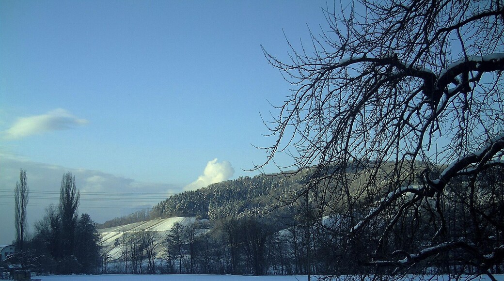 February Sun Valley Glottertal Galery - Mythos Black Forest Photography 2013