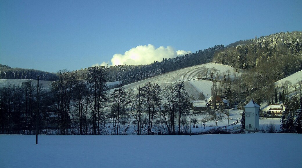 February Sun Valley Glottertal Galery - Mythos Black Forest Photography 2013