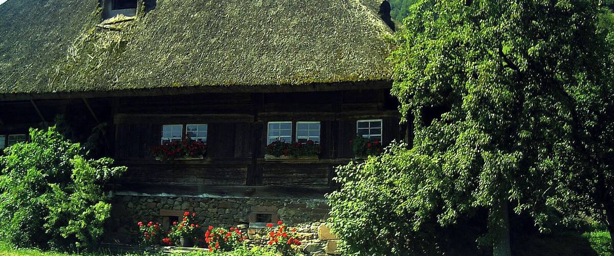 A traditional thatched-roof house with a stone foundation, surrounded by lush greenery and a clear sky.
