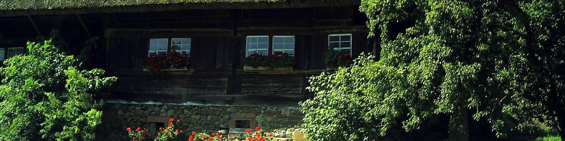 A traditional thatched-roof house with a stone foundation, surrounded by lush greenery and a clear sky.