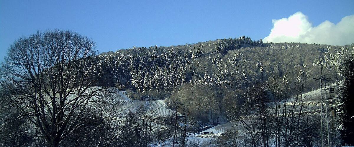 February Sun Valley Glottertal Galery - Mythos Black Forest Photography 2013