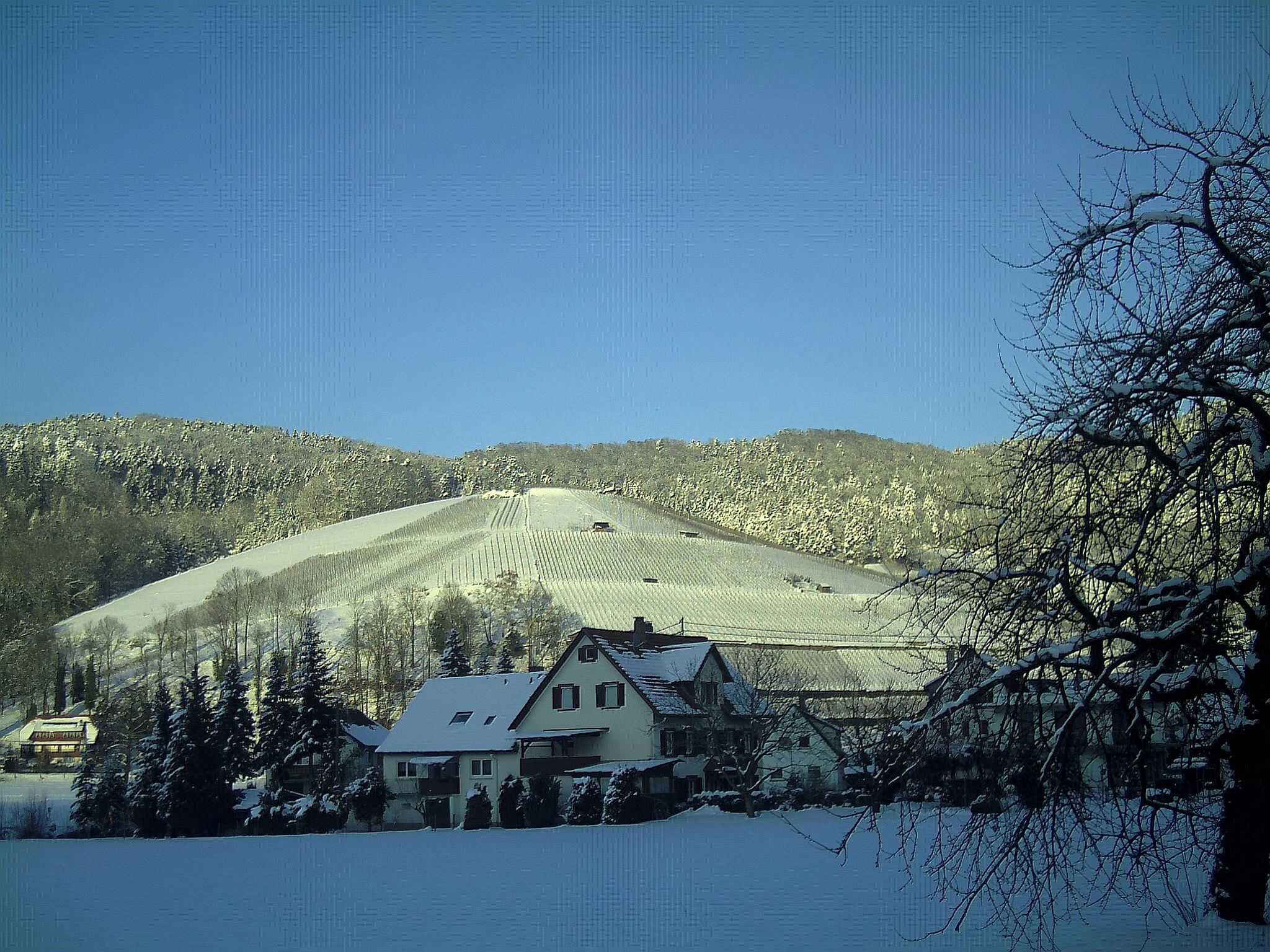 February Sun Valley Glottertal Galery - Mythos Black Forest Photography 2013