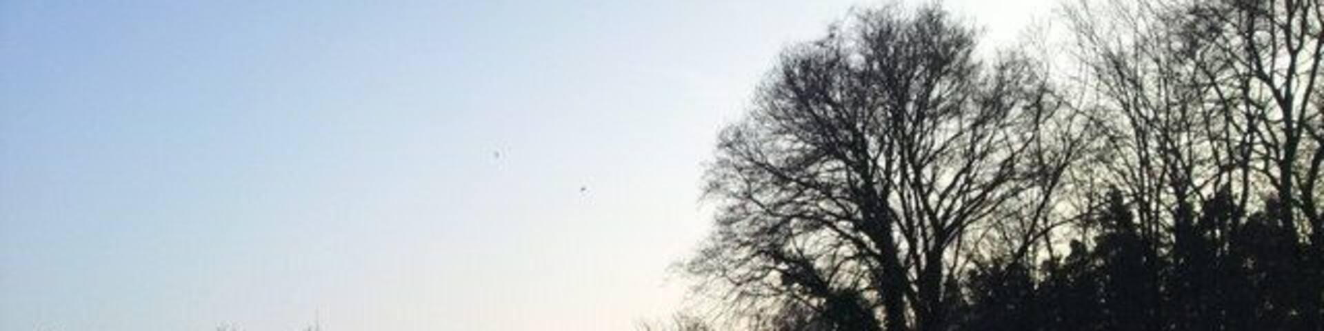 Hardtwald zwischen Graben-Neudorf und Stutensee