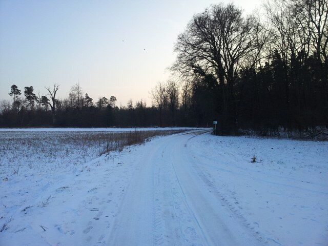 A snow-covered rural road with a forest on one side and open fields on the other.