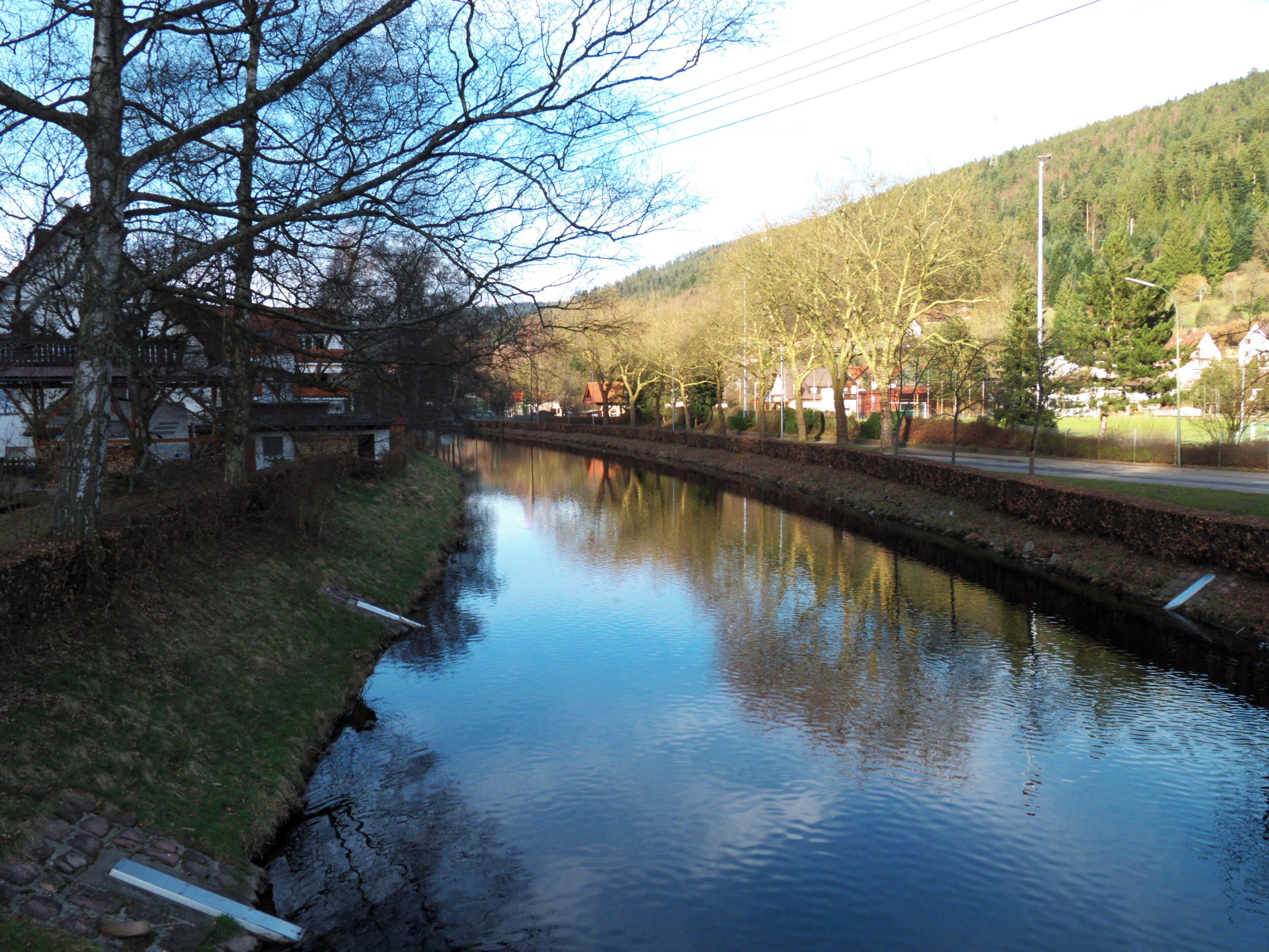 Afternoon At The Enz