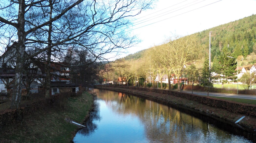 Afternoon At The Enz