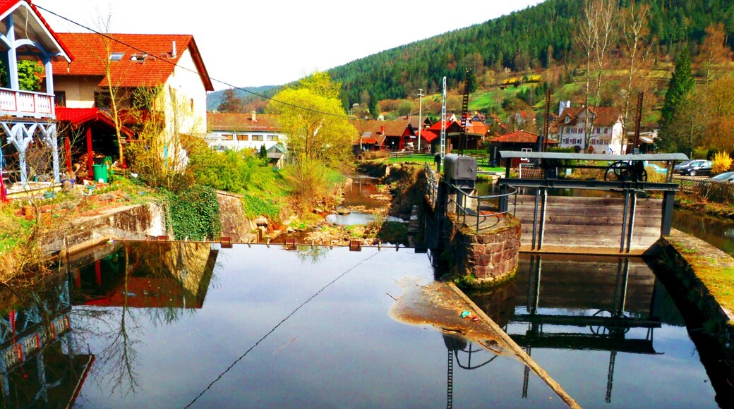 Not Enough Water For This Time