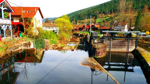 Not Enough Water For This Time