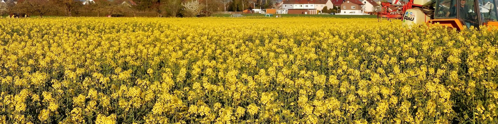 GĂ€ufelden-Nebringen