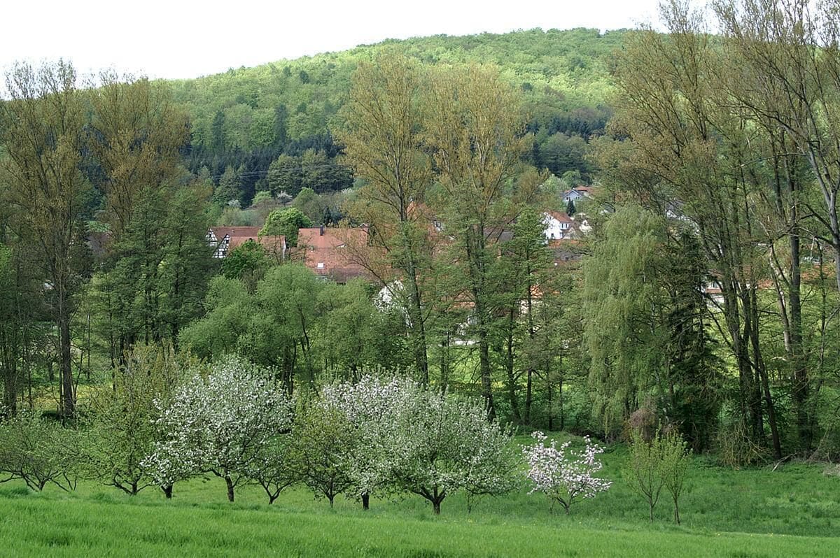 Blick auf Dietenhausen