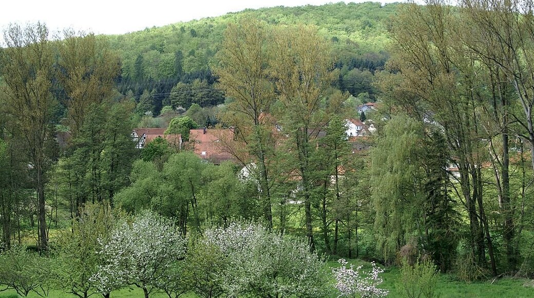 Blick auf Dietenhausen