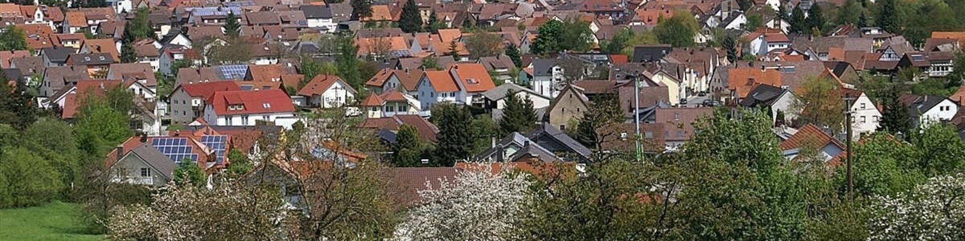 Wilferdingen im Frühling
