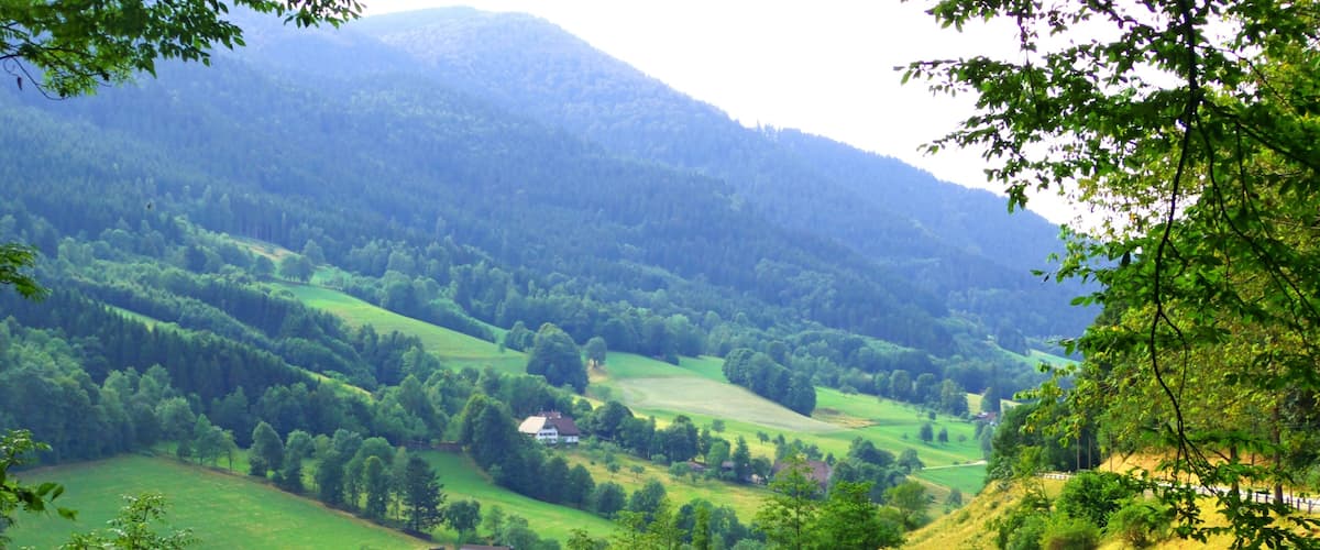 Valley