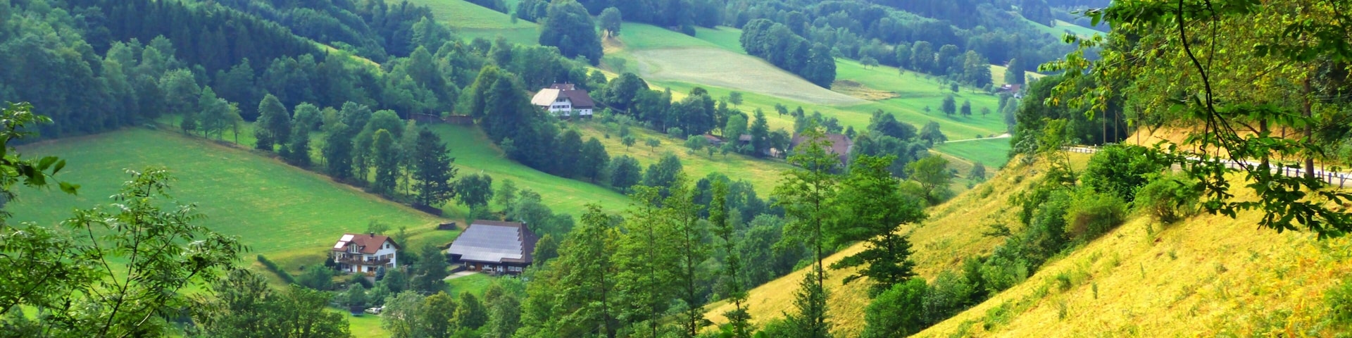 Valley