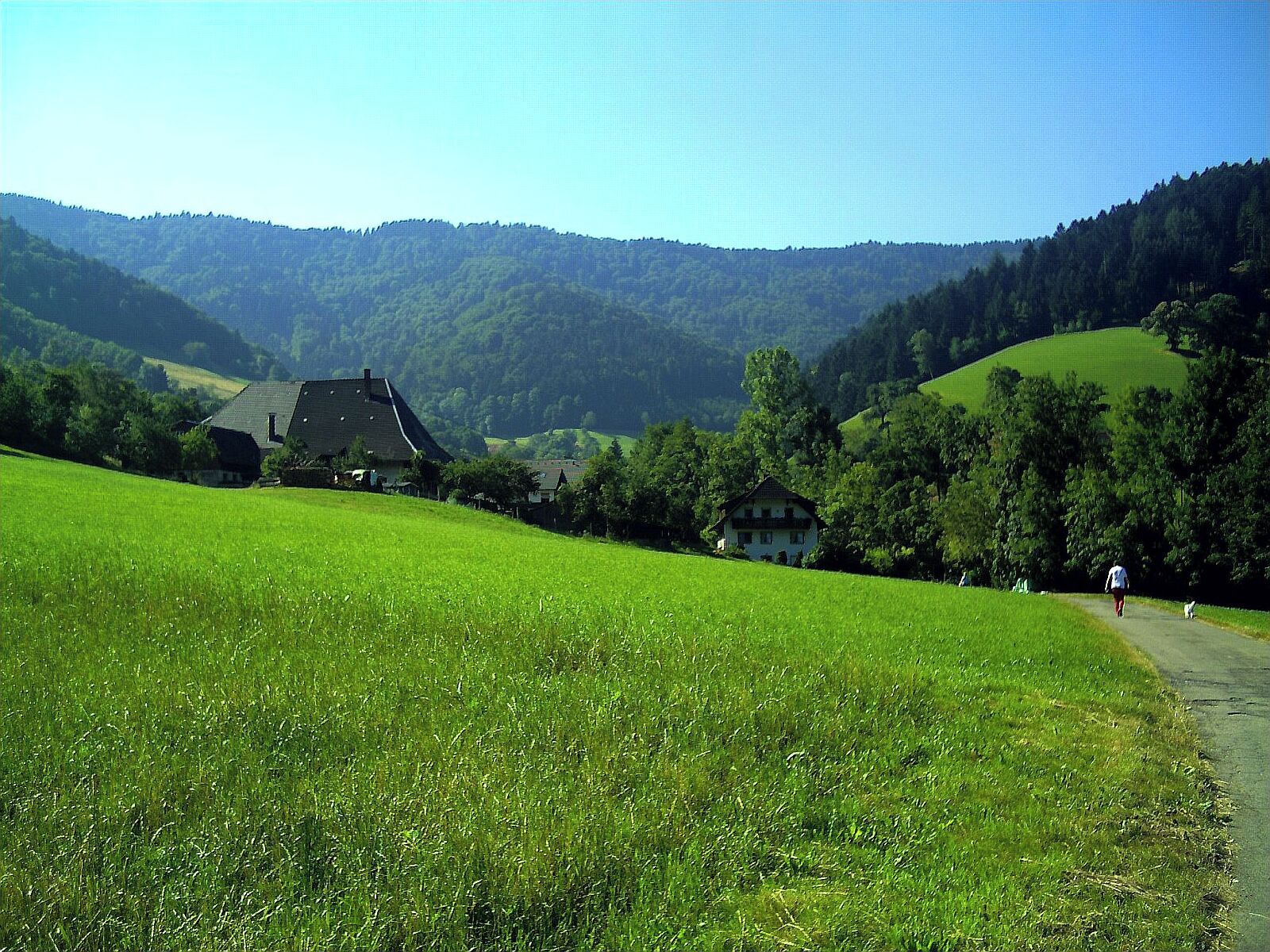 A rural landscape with rolling hills, a clear sky, and a path leading through a green field.