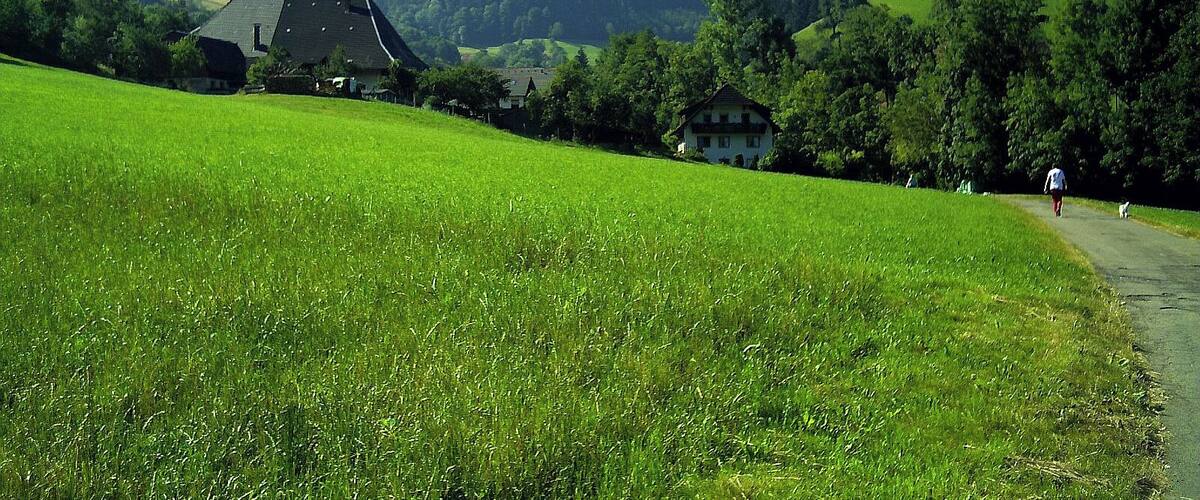 A rural landscape with rolling hills, a clear sky, and a path leading through a green field.