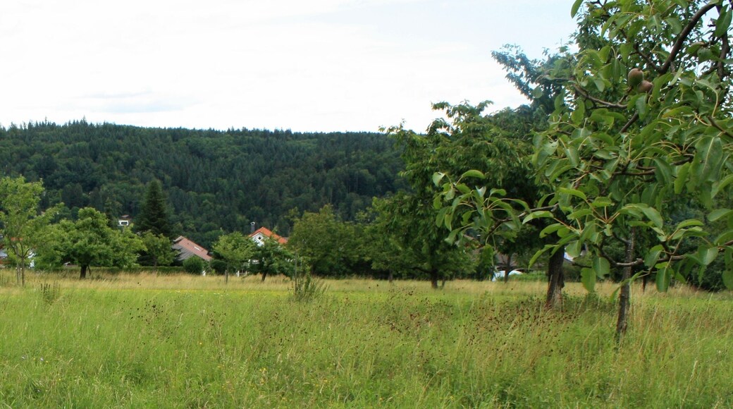 Kämpfelbachtal zwischen Kraichgauer Hügelland und Nordschwarzwald