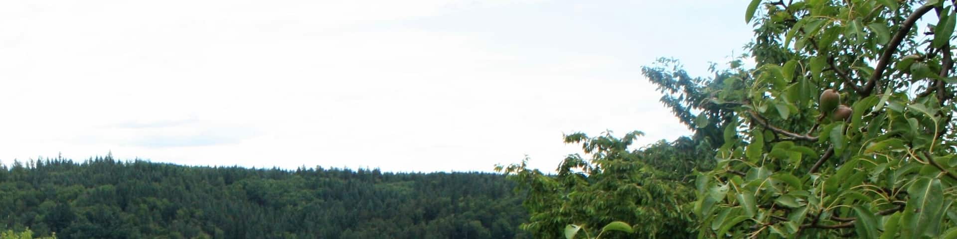 Kämpfelbachtal zwischen Kraichgauer Hügelland und Nordschwarzwald