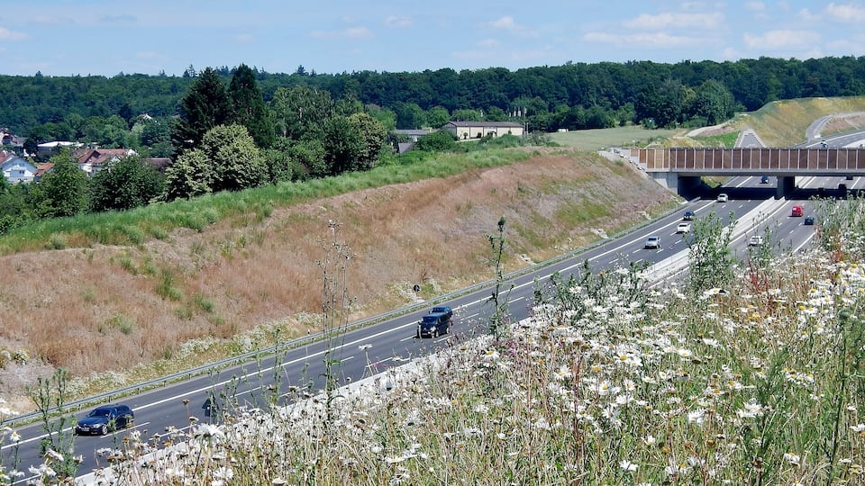A highway with vehicles, a bridge, and a rural landscape with houses and trees.