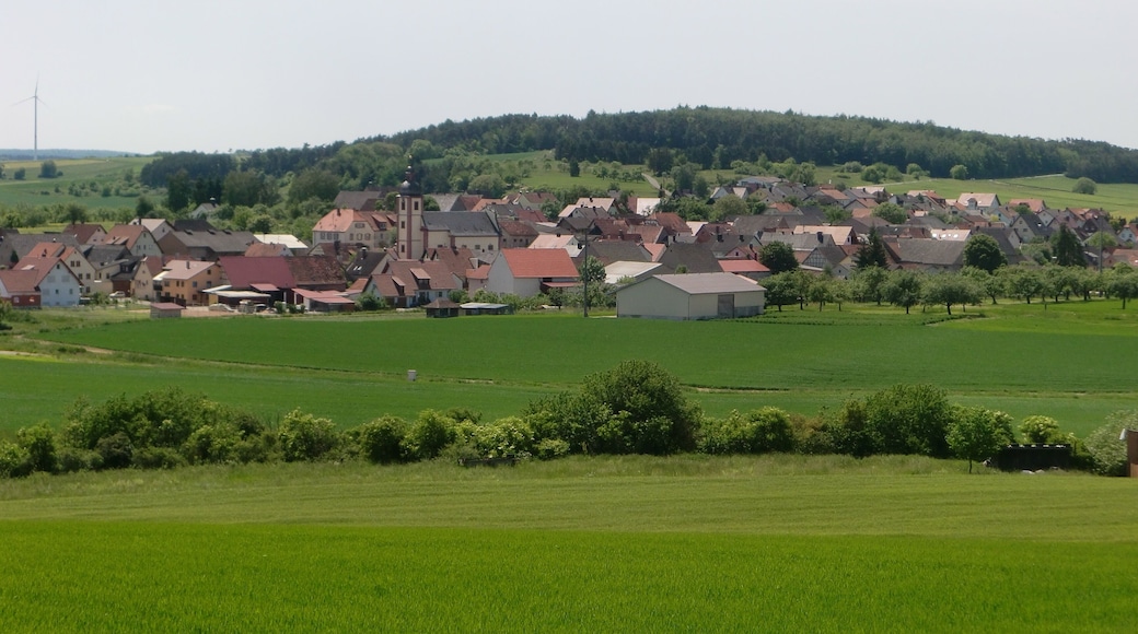 Dorfansicht von Rohrbach (Karlstadt) aus Nordosten