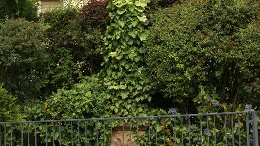 Column of Mary in Hörstein, Dalbergstraße 33