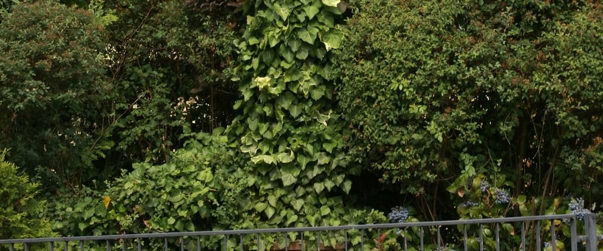 A stone statue in a garden with a fence, surrounded by lush greenery and a house in the background.