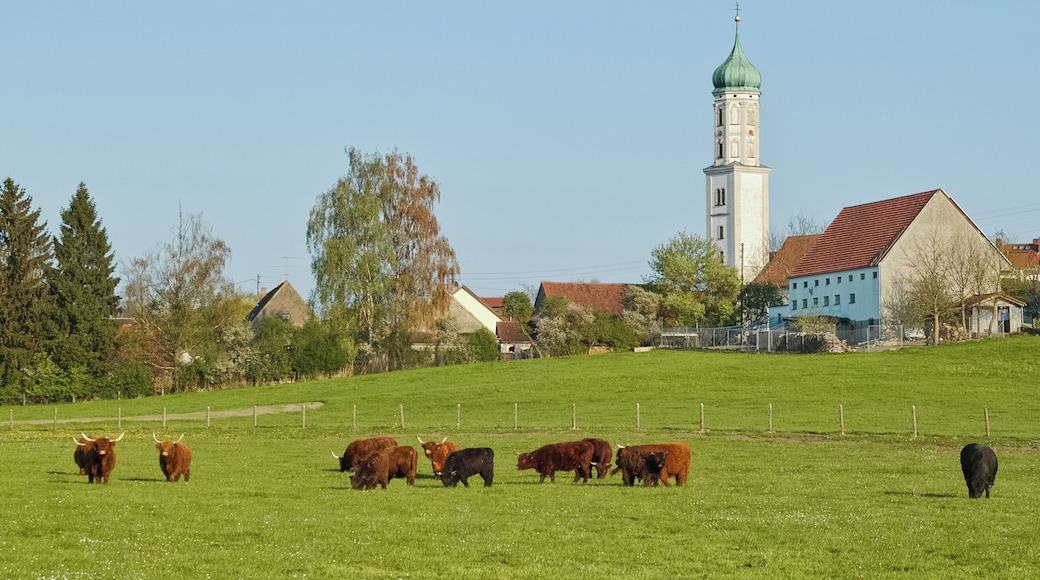 This is a photograph of an architectural monument. It is on the list of cultural monuments of Bayern, no. D-7-72-184-13
