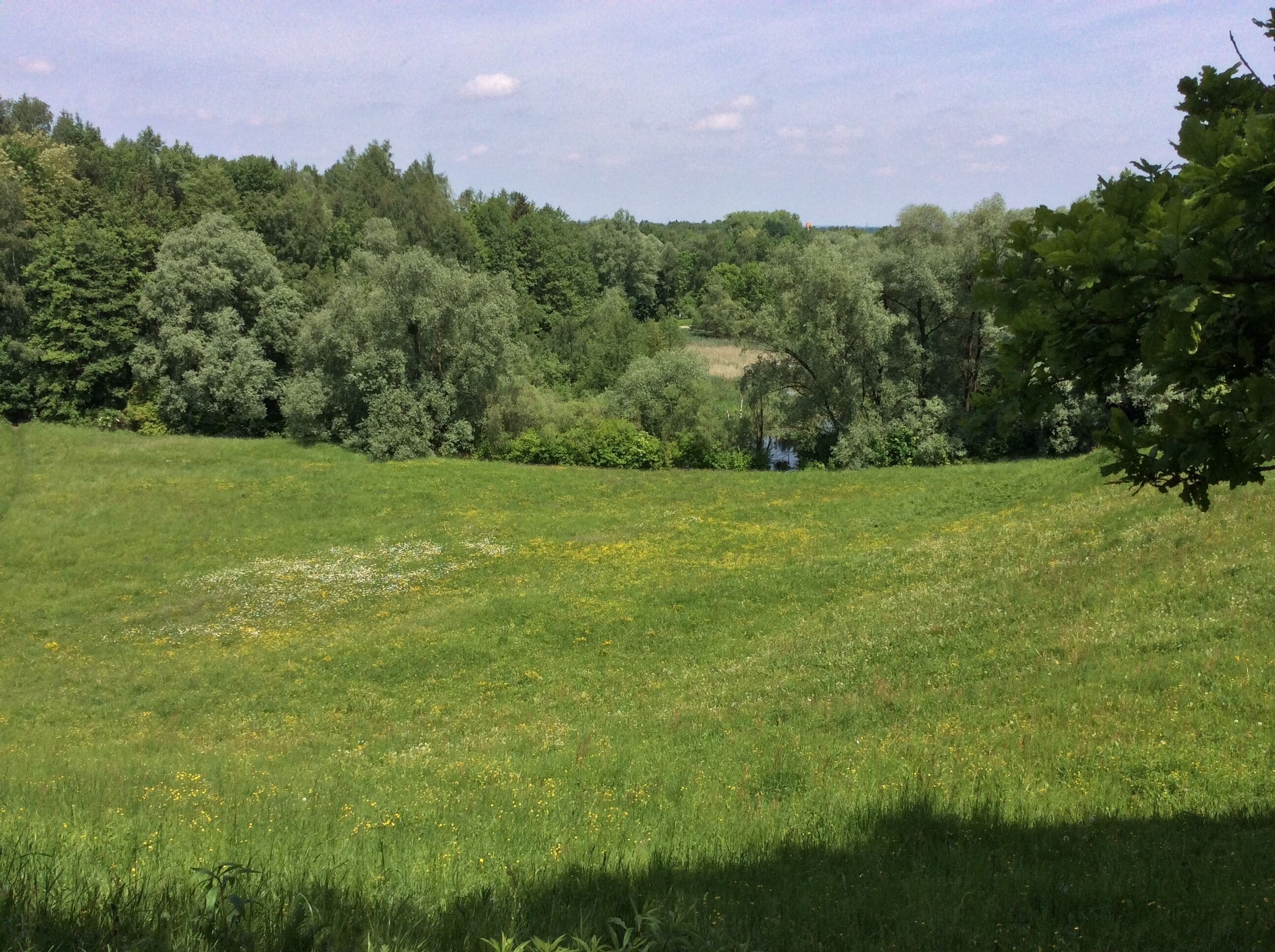 Landschaftsschutzgebiet im Westen Münchens, eiszeitliche Ablagerungen bis 540m Höhe aus Schotter und Löss, Niedermoor, Geotop 162R001
