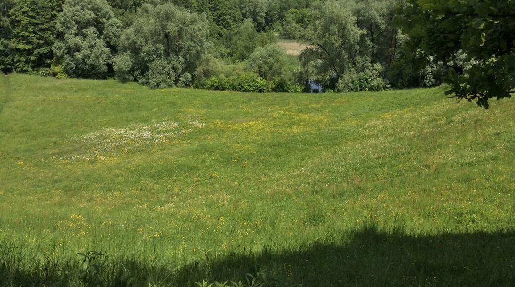 Landschaftsschutzgebiet im Westen Münchens, eiszeitliche Ablagerungen bis 540m Höhe aus Schotter und Löss, Niedermoor, Geotop 162R001