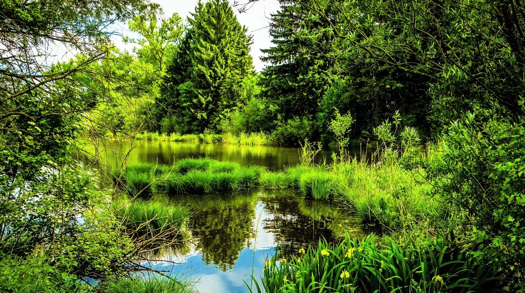 München, Aubinger Lohe, Mooschweige, kleiner Moorsee