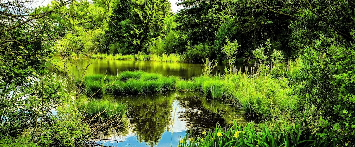 München, Aubinger Lohe, Mooschweige, kleiner Moorsee