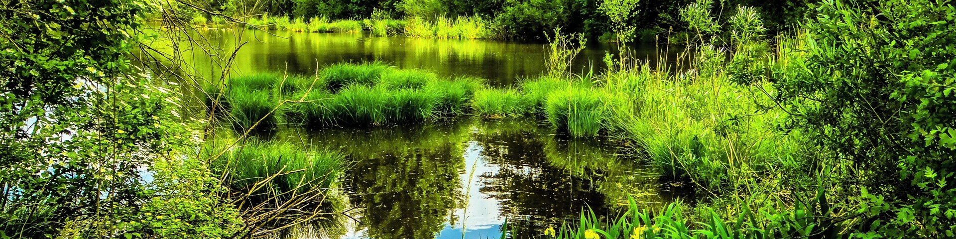 München, Aubinger Lohe, Mooschweige, kleiner Moorsee