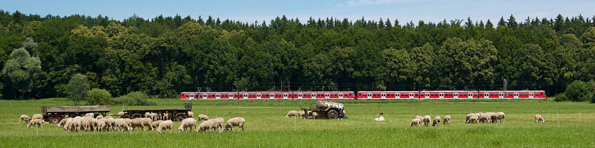 Ländliche Impression auf einer Weide südlich der Aubinger Lohe am westlichen Münchner Stadtrand