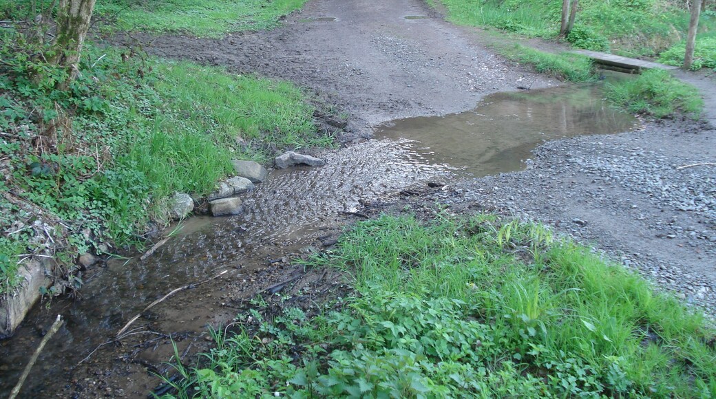 Der Schützbach vor Reichenbach