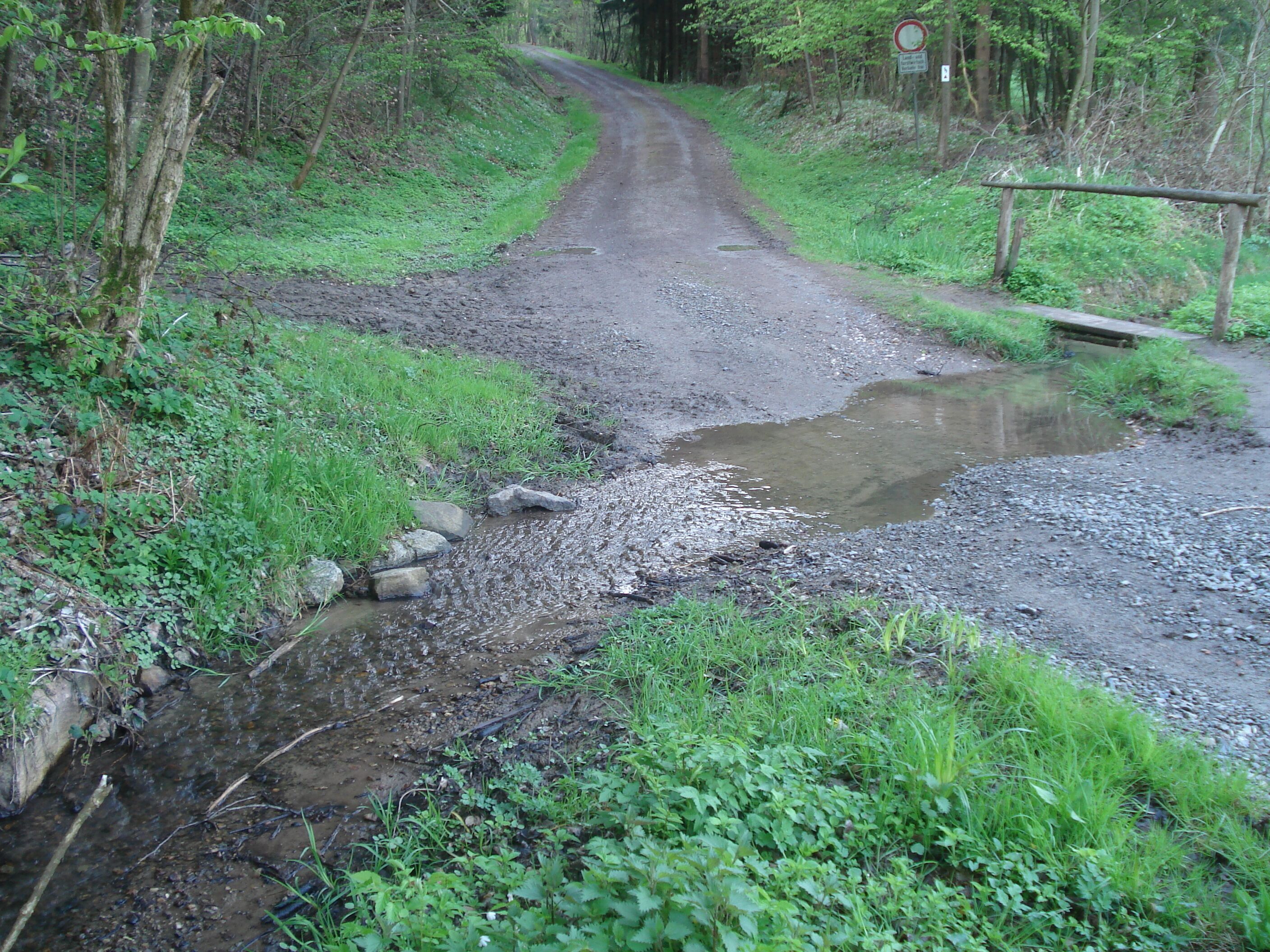 A muddy, unpaved road in a forested area with a small stream crossing it.